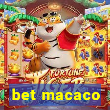 bet macaco